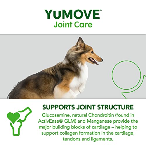 YuMOVE Adult Dog | Joint Supplement for Adult Dogs, with Glucosamine, Chondroitin, Green Lipped Mussel | Aged 6 to 8 | 120 Tablets - FoxMart™️ - Lintbells